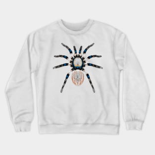 Spider Variations On A Theme Crewneck Sweatshirt